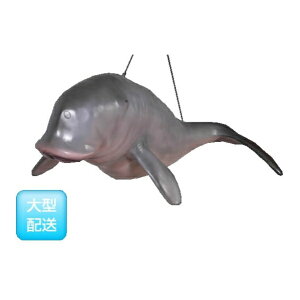 FRP WSE݂艺^Cv / Dugong-Hanging fr100127 wكIuWF Aj}IuWF X܁ECxgx