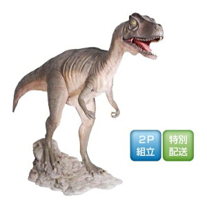 FRP 傫JATEX / Allosaurus Mouth Open fr100053 wIuWF كIuWF X܁ECxgx