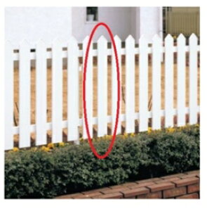 NV AJtFX1^ CB T-6p wA~tFX x