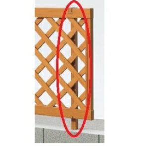 NV Vy ؎tFXJ1^ ݒ H=800p u`Xv wؒtFX x