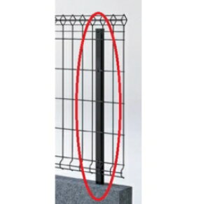 NV Vy bVtFXA^ ݒiA~j 600p wbVtFX x