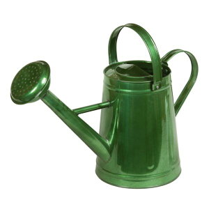 mΑn vgACe Waterring Can WE 81526 O[