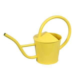 mΑn vgACe Waterring Can WE 81502 CG[