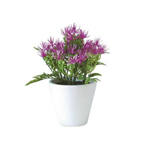 mΑn@tFCNO[@tFCNvg@82146