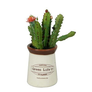 mΑn@tFCNO[@tFCNvg@82140