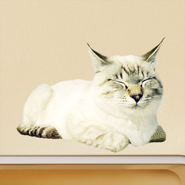 話題の行列 東京ステッカー 子猫のリアルな表情がとても愛らしいウォールステッカーです 高級ウォールステッカー 岩合光昭 ねこウォールステッカー08 SSサイズ TS-0088-ASS 壁 シール 送料無料 おしゃれ かわいい