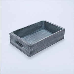 wX E^Ebh AeB[NBOX  WB-S iBj Vr[u[ Vr[u[