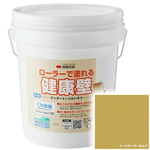 y@ll菤i lEzszl e_[gbv TDKN-S267 [[ŊȒP{H wʂ  tH[ DIY hx x`肫イ炿