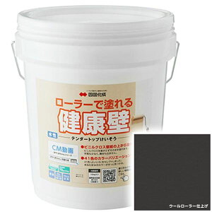 y@ll菤i lEzszl e_[gbv TDKN-S012 [[ŊȒP{H wʂ  tH[ DIY hx F`낢