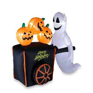 Fߋ GA[fBXvC pvLJ[g HW-1157 wnEB t J{` 킢x