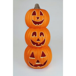 Fߋ pvL^L pvL3A^46cm HW-2013 wnEB t J{` 킢x