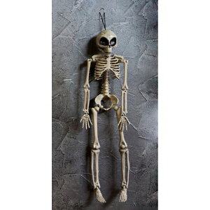 Fߋ KCRcl` GCAXPg HW-1325 wnEB t J{` 킢x