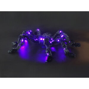 Fߋ XpC_[Cg !z[XpC_[(LEDCgt) HW-1261 wnEB t J{` 킢x