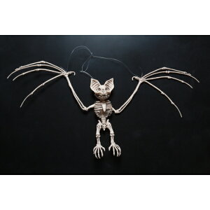 Fߋ REfBXvC tCO{[obg HW-1415 wnEB t J{` 킢x