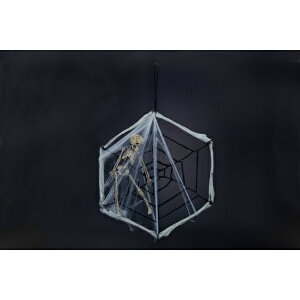 Fߋ XPA[[X {[[X(XpC_[EFu) HW-1461 wnEB t J{` 킢x