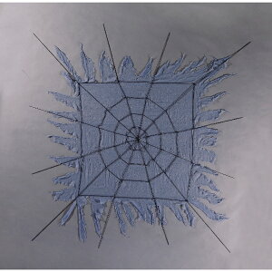 Fߋ XpC_[EFufR[V XpC_[EFu HW-1246 wnEB t J{` 킢x