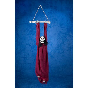 Fߋ [rObh[p[ HW-1351 wnEB t J{` 킢x