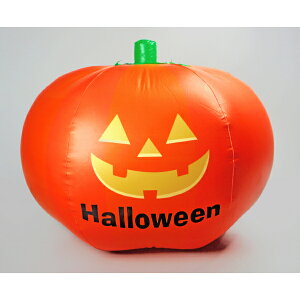 Fߋ nEB rj[fBXvC rj[fBXvC(M)`[~[pvL HW-1283 wnEB t J{` 킢x