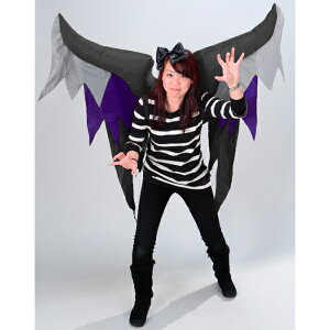 Fߋ GA[uEEBO GA[u[frEBO(ubN) HW-1749 wnEB t J{` 킢x