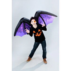 Fߋ GA[uEEBO GA[u[frEBO(p[v) HW-1748 wnEB t J{` 킢x