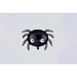 Fߋ o[fBXvC o[fBXvC2pcsZbg(XpC_[) HW-1091SP wnEB t J{` 킢x