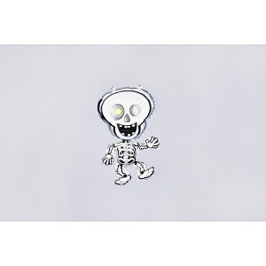 Fߋ o[fBXvC o[fBXvC2pcsZbg(XPg) HW-1091SK wnEB t J{` 킢x