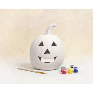 Fߋ GpvL yCg`[tpvLSET HW-1208 wnEB t J{` 킢x