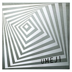 ZNtg X[p[XeX mF MG-21w\D TC ˌx