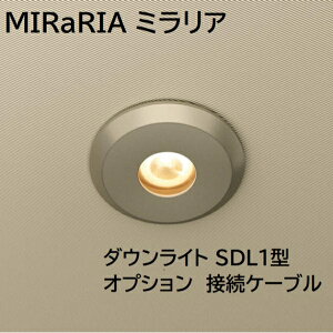 OA~ MIRaRIA ~A _ECg SDL1^ ڑP[u