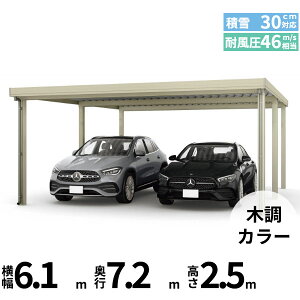 yLy[Ώۏizyî݁zJ[|[g 2p YKK YKKAP W[|[g Pro 900^Cv ނȂ Ȃ s6{ J60E12-60 H25w ܔ Zbp J[|[g Ԍ K[W 