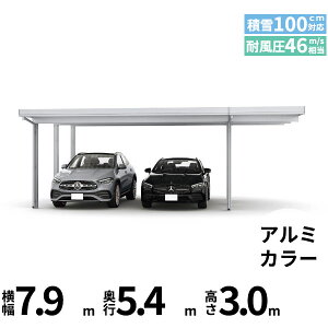 yî݁z YKK YKKAP W[|[g Pro 3000^Cv J[|[g 2p ނȂ Ȃ Ԍ6{ E55-60E18 H30w ܔ Zbp J[|[g Ԍ K[W ԏ  diy x A~F