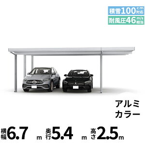 yî݁z YKK YKKAP W[|[g Pro 3000^Cv J[|[g 2p ނȂ Ȃ Ԍ6{ E55-48E18 H25(㒌)w ܔ Zbp J[|[g Ԍ K[W ԏ  diy x A