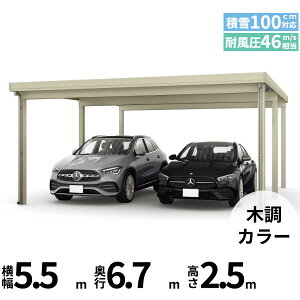 yî݁z YKK YKKAP W[|[g Pro 3000^Cv J[|[g 2p ނȂ Ȃ s6{ J55E12-55 H25w ܔ Zbp J[|[g Ԍ K[W ԏ  diy x ؒF