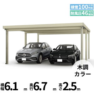 yî݁z YKK YKKAP W[|[g Pro 3000^Cv J[|[g 2p ނȂ Ȃ s6{ J55E12-60 H25w ܔ Zbp J[|[g Ԍ K[W ԏ  diy x ؒF