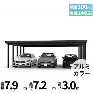 �y�L�����y�[���Ώۏ��i�z�y���i�̂݁z�J�[�|�[�g 3��p YKK YKKAP �W�[�|�[�g Pro 3000�^�C�v ���ނȂ� ��������Ȃ� ���s������10�{ J60�E12-80 H30�w �ܔ� �Z�b�p�� �J�[�|�[�g �Ԍ� �K���[�W ��