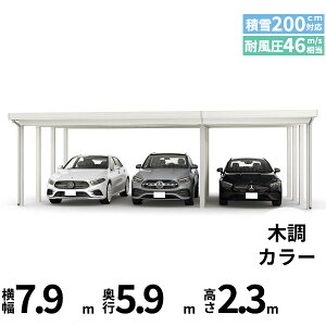 yî݁z YKK YKKAP W[|[g Pro 6000^Cv J[|[g 3p ނȂ Ȃ Ԍ(2)A12{(4) M60-48E30 H24w ܔ Zbp J[|[g Ԍ K[W ԏ  diy x 