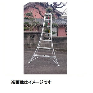 lzs iKm A~Or NSU^xŒ莮 NSU-10 wA~Orx @ll 󒍐Yi