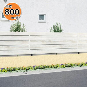 yؖڒ@ډBzOA~ tCi YM^ { t[x^Cv 2008 w  H800mmp ȂؒA~tFXx