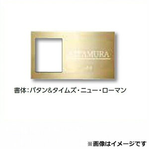 【マラソン対象】タカショー De-signシリーズ De-sign メタル インターホンカバータイプ2 12V DCP-P04 銅板 『表札 サイン 戸建』