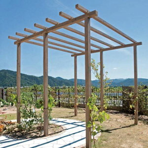 ^JV[ K[fp[S Xg[gp[S_u 1SP