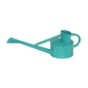 mΑn K[fRNV WE 81601 O[ O[