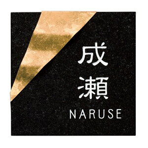  `^A[gTC ~JQ&`^S[hF[ TI-213A w\D TC ˌx