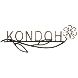  j[uXACA ACA IR-41 w\D TC ˌx