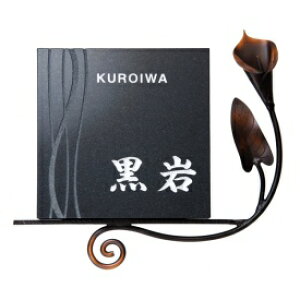  j[uXACA Rrl[V IRA-166 w\D TC ˌx