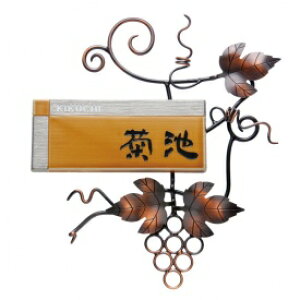  j[uXACA Rrl[V IRX-168 w\D TC ˌx