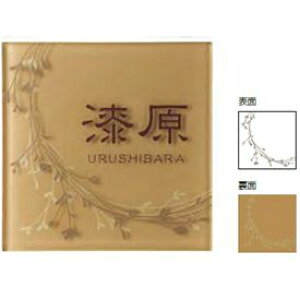 ZNtg@pbgKX@GT-62@͂ȂÂ@w\D@TC@ˌx