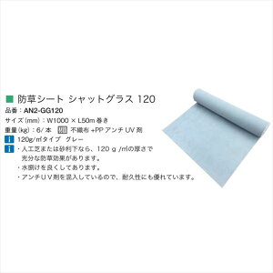 I[@lHŁ@hV[gVbgOX120@AN2-GG120