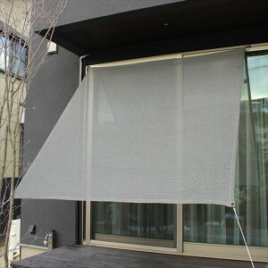 y}\ΏہzC`IVF[h@v[@wOp悯@ߐƒʋCւ̂@{@VF[hx 36 `R[ubN