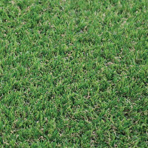 LX^C IWilH KST-01 1m×10m 5521521 wA Ő [ {x