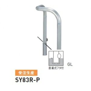 lzs  SY83R-P oJ[^ X^_[h XeX^Cv 500×500×H800 a76.3mm Et^t